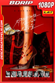 Golpe de suerte (2020) 1080p BDrip Latino