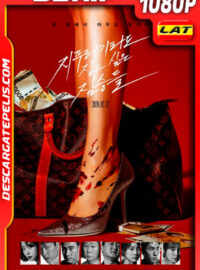 Golpe de suerte (2020) 1080p BDrip Latino