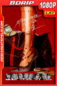 Golpe de suerte (2020) 1080p BDrip Latino