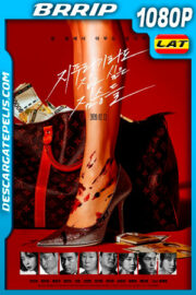 Golpe de suerte (2020) 1080p BRrip Latino