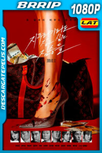 Golpe de suerte (2020) 1080p BRrip Latino