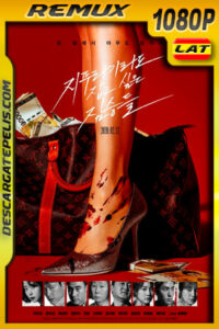 Golpe de suerte (2020) 1080p Remux Latino