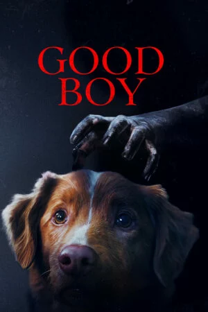Good Boy: Confía en su instinto (2025) Latino