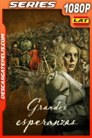 Grandes esperanzas Temporada 1 (2023) 1080p WEB-DL Latino