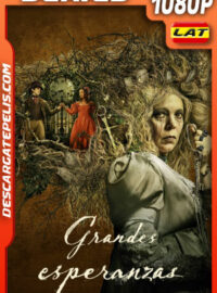 Grandes esperanzas Temporada 1 (2023) 1080p WEB-DL Latino