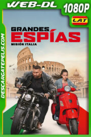 Grandes espías: Misión Italia (2024) 1080p WEB-DL Latino