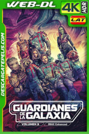 Guardianes de la galaxia Vol. 3 (2023) IMAX Enhanced 4K WEB-DL HDR Latino