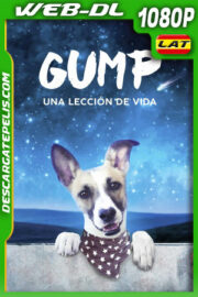 Gump – Una Lección de Vida (2021) 1080p WEB-DL Latino