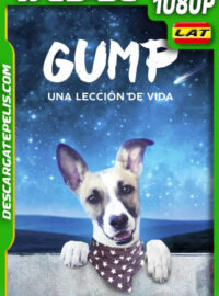 Gump – Una Lección de Vida (2021) 1080p WEB-DL Latino