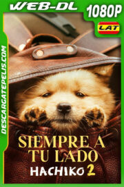 Hachiko 2: Siempre a tu lado (2024) 1080p WEB-DL Latino