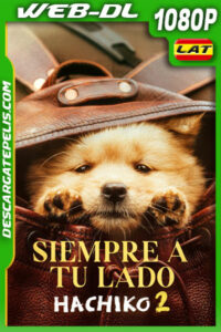 Hachiko 2: Siempre a tu lado (2024) 1080p WEB-DL Latino