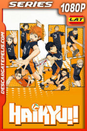 Haikyuu!! Temporada 1 (2014) 1080p WEB-DL Latino