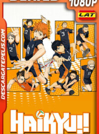 Haikyuu!! Temporada 1 (2014) 1080p WEB-DL Latino