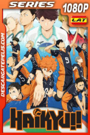Haikyuu!! Temporada 2 (2015) 1080p WEB-DL Latino