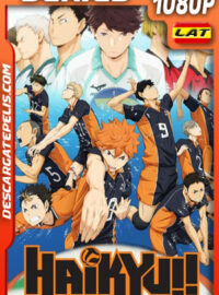 Haikyuu!! Temporada 2 (2015) 1080p WEB-DL Latino