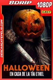 Halloween en casa de la tía Ethel (2019) 1080p BDRip Castellano