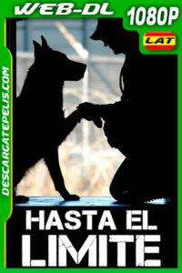 Hasta El Limite (2019) 1080p WEB-DL Latino