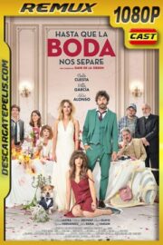 Hasta que la boda nos separe (2020) 1080p BDRemux Castellano