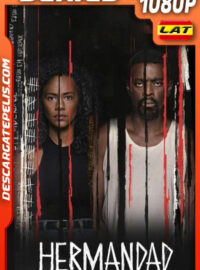 Hermandad (2019) Temporada 1 1080p WEB-DL Latino