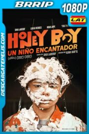 Honey Boy: Un niño encantador (2019) 1080p BRrip Latino