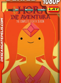 Hora de aventura Temporada 8 (2016) 1080p WEB-DL Latino