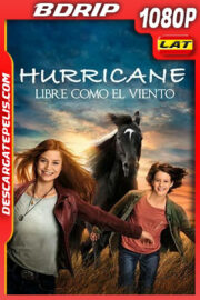 Hurricane – Libre como el Viento (2021) 1080p BDrip Latino