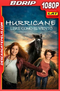 Hurricane – Libre como el Viento (2021) 1080p BDrip Latino
