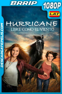 Hurricane – Libre como el Viento (2021) 1080p BRRip Latino