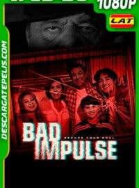 Inseguros (2020) 1080p WEB-DL Latino