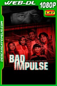 Inseguros (2020) 1080p WEB-DL Latino