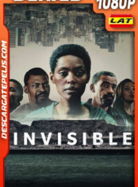 Invisible Temporada 1 (2023) 1080p WEB-DL Latino
