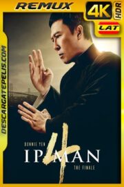 Ip Man 4 (2019) 4k Remux HDR Latino