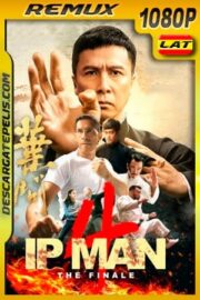 Ip Man 4: El final (2019) 1080p Remux Latino
