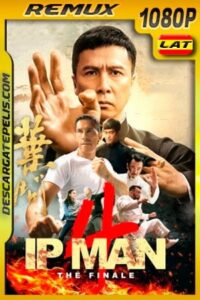 Ip Man 4: El final (2019) 1080p Remux Latino