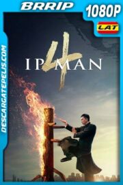 Ip Man 4: El final (2019) 1080p BRRip Latino