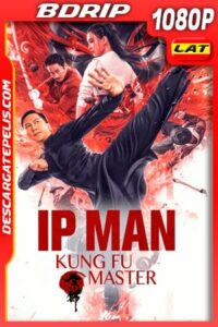 Ip Man: El Maestro del Kung Fu (2019) 1080p BDRip Latino