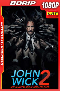 John Wick 2: Un nuevo día para matar (2017) 1080p BDrip Latino