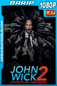 John Wick 2: Un nuevo día para matar (2017) 1080p BRrip Latino