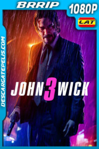 John Wick 3: Parabellum (2019) 1080p BRrip Latino