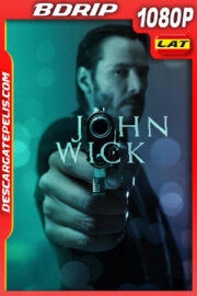 John Wick: Sin control (2014) 1080p BDrip Latino