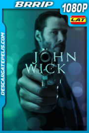 John Wick: Sin control (2014) 1080p BRrip Latino