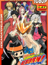 Katekyo Hitman Reborn! Temporada 1 (2006) 1080p WEB-DL Latino