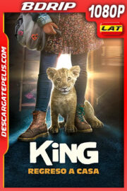 King: Regreso a casa (2022) 1080p BDRip Latino