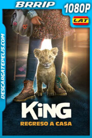 King: Regreso a casa (2022) 1080p BRRip Latino