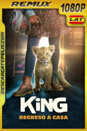 King: Regreso a casa (2022) 1080p Remux Latino