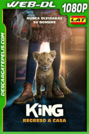 King: Regreso a casa (2022) 1080p WEB-DL Latino
