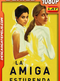 La Amiga Estupenda Temporada 2 (2020) 1080p WEB-DL Latino