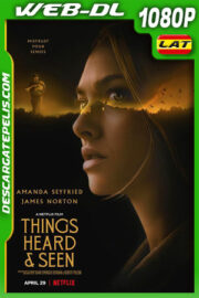 La apariencia de las cosas (2021) 1080p WEB-DL Latino