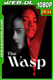La Avispa (2024) 1080p WEB-DL Latino