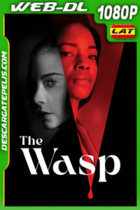 La Avispa (2024) 1080p WEB-DL Latino